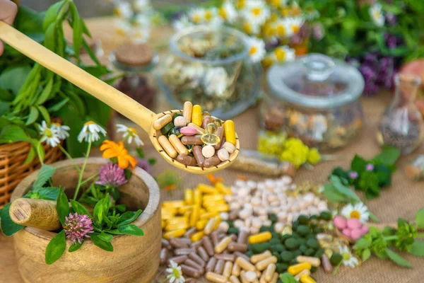 İlaveler, şifalı bitkiler ve çiçekler. Seçici odaklanma. Doğa.