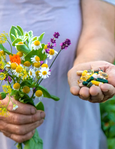 Yaşlı bir kadın elinde şifalı bitkiler ve çiçekler tutuyor. Seçici odaklanma. Doğa.