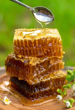 Bahçede ev yapımı bal. Seçici odaklanma. Yiyecek..