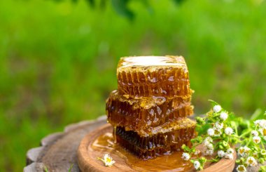 Bahçede ev yapımı bal. Seçici odaklanma. Yiyecek..