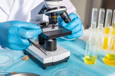 Laboratuvarda kene inceleyin. Seçici odaklanma. Doğa.