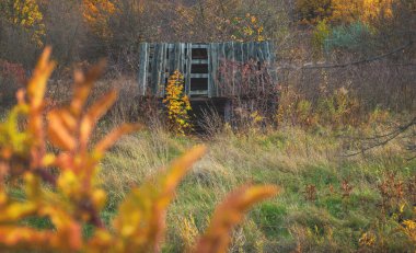 Sonbahar ormanında terk edilmiş bir kulübe. Seçici odaklanma. Doğa.