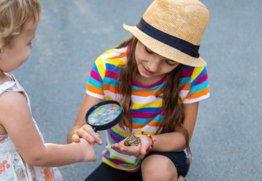 The child is playing with the frog. Selective focus. Kid.