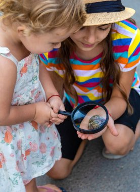 The child is playing with the frog. Selective focus. Kid.