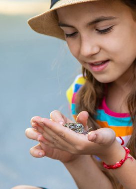 The child is playing with the frog. Selective focus. Kid.