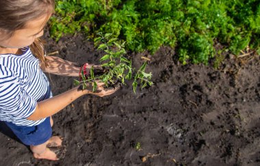 Çocuk bahçeye bir bitki ekiyor. Seçici odaklanma. Çocuk.