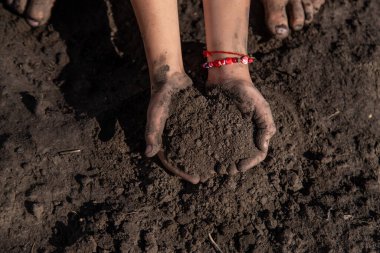 Çocuk bahçedeki toprağı tutuyor. Seçici odaklanma. çocuk.