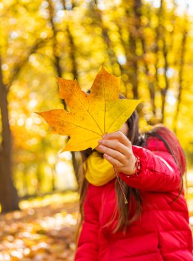 Parktaki sarı yapraklı sonbahar çocuğu. Seçici odaklanma. Çocuk.