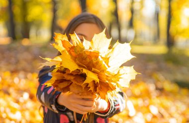Parktaki sarı yapraklı sonbahar çocuğu. Seçici odaklanma. Çocuk.