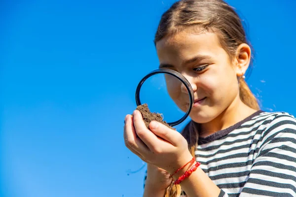 Çocuklar toprağı bir büyüteçle incelerler. Seçici odaklanma. Çocuk.