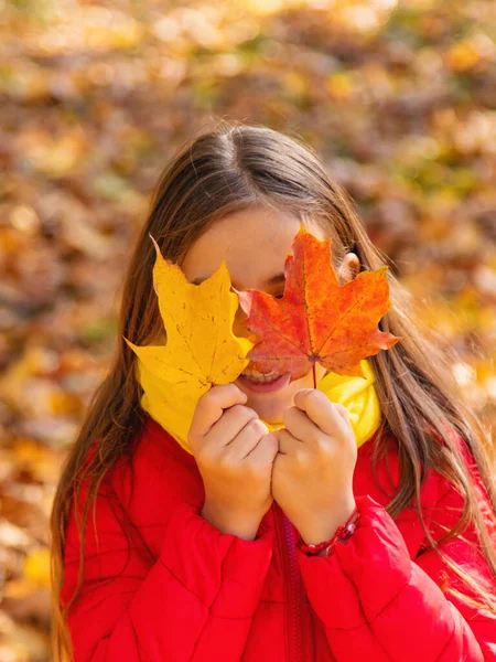 Parktaki sarı yapraklı sonbahar çocuğu. Seçici odaklanma. Çocuk.