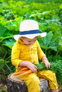 Bahçedeki bir çocuk elinde bir havuç kırıntısı tutuyor. Seçici odaklanma. Çocuk.