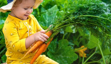 Bahçedeki bir çocuk elinde bir havuç kırıntısı tutuyor. Seçici odaklanma. Çocuk.