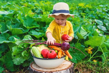 Sebze bahçesindeki çocuk. Seçici odaklanma. Çocuk.