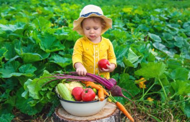 Sebze bahçesindeki çocuk. Seçici odaklanma. Çocuk.
