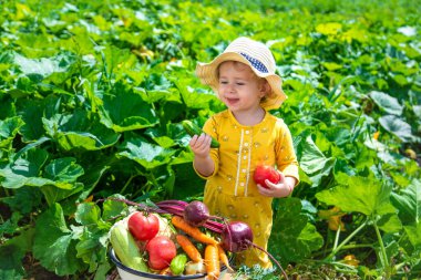 Sebze bahçesindeki çocuk. Seçici odaklanma. Çocuk.