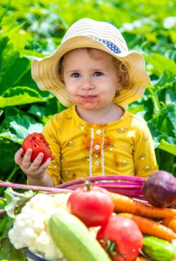 Sebze bahçesindeki çocuk. Seçici odaklanma. Çocuk.