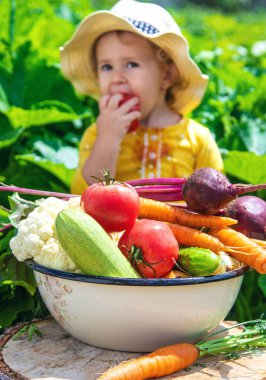 Sebze bahçesindeki çocuk. Seçici odaklanma. Çocuk.