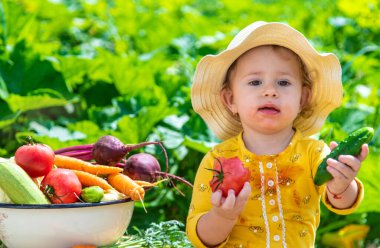Sebze bahçesindeki çocuk. Seçici odaklanma. Çocuk.