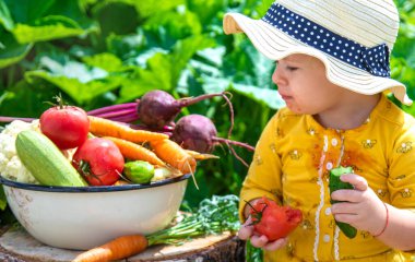 Sebze bahçesindeki çocuk. Seçici odaklanma. Çocuk.