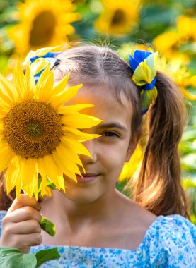 A child in a field of sunflowers. Ukraine. Selective focus. Nature.