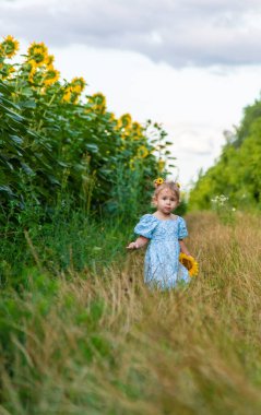 A child in a field of sunflowers. Ukraine. Selective focus. Nature.