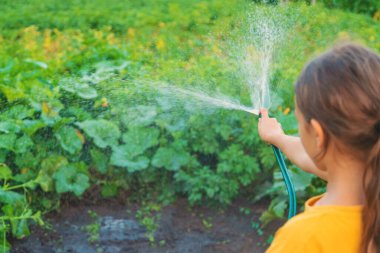 The child is watering the garden with a hose. Selective focus. Nature.