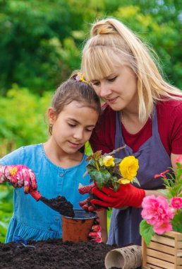 A child with her mother is planting flowers in the garden. Selective focus. Kid.