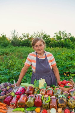 Senior woman preserving vegetables in jars. Selective focus. Food.