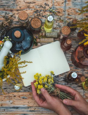 Medicinal herbs on the table. Place for notepad text. Selective focus. Nature.