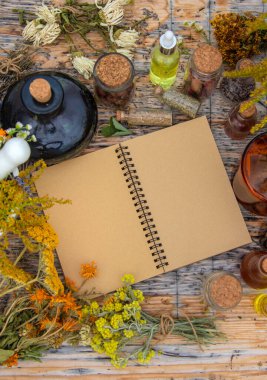 Medicinal herbs on the table. Place for notepad text. Selective focus. Nature.