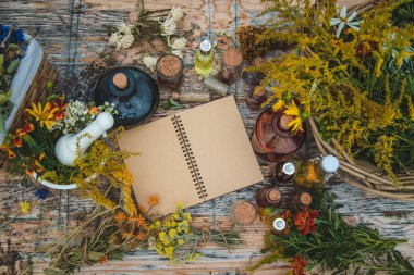 Medicinal herbs on the table. Place for notepad text. Selective focus. Nature.