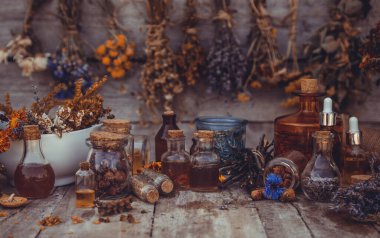 Medicinal herbs and tinctures homeopathy. Selective focus. Nature.