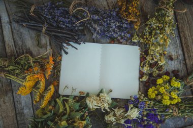 Medicinal herbs and tinctures homeopathy. Selective focus. Nature.