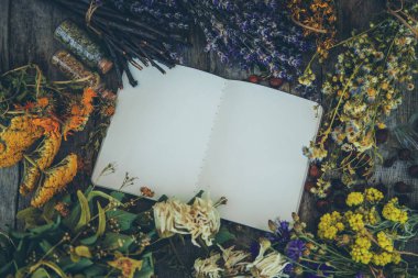 Medicinal herbs and tinctures homeopathy. Selective focus. Nature.