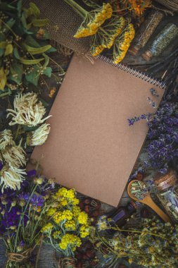 Medicinal herbs and tinctures homeopathy. Selective focus. Nature.