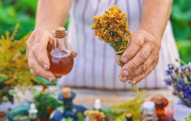 Grandmother makes tinctures from medicinal herbs. Selective focus. People.