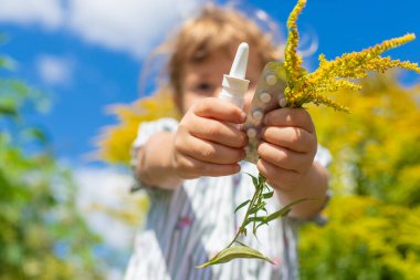 Ragweed çiçekleri ve ragweed alerjisi. Seçici odaklanma. Doğa.