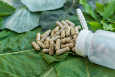 Various herbal supplement capsules. Selective focus. nature.