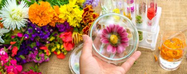 Flowers and test tubes for perfume making. Selective focus. nature.