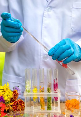 Flowers and test tubes for perfume making. Selective focus. nature.