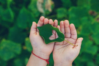 Yaprak kalpli çocuk bahçede. Seçici odaklanma. Çocuk.