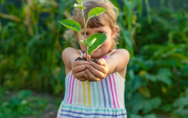 Bir çocuk bahçeye bir ağaç diker. Seçici odaklanma. Çocuk.