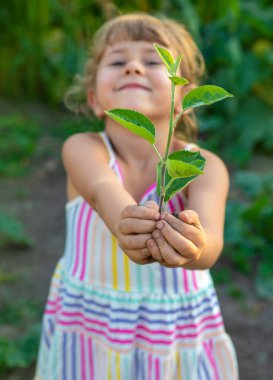 Bir çocuk bahçeye bir ağaç diker. Seçici odaklanma. Çocuk.
