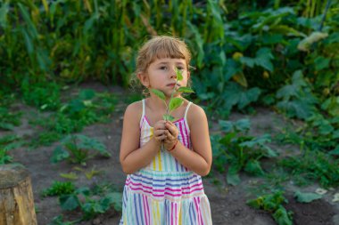 Bir çocuk bahçeye bir ağaç diker. Seçici odaklanma. Çocuk.