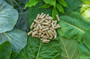 Various herbal supplement capsules. Selective focus. nature.