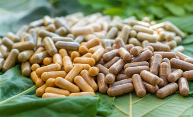 Various herbal supplement capsules. Selective focus. nature.