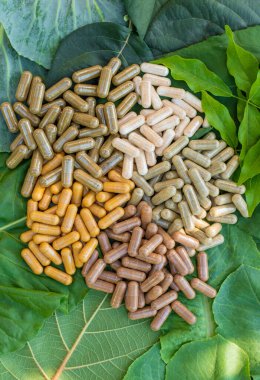 Various herbal supplement capsules. Selective focus. nature.