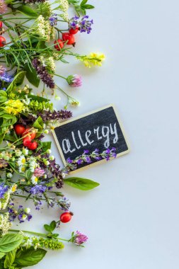 Various medicinal herbs on a white background. Selective focus. Nature.