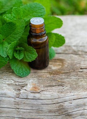 Peppermint essential oil in the garden. Selective focus. nature.